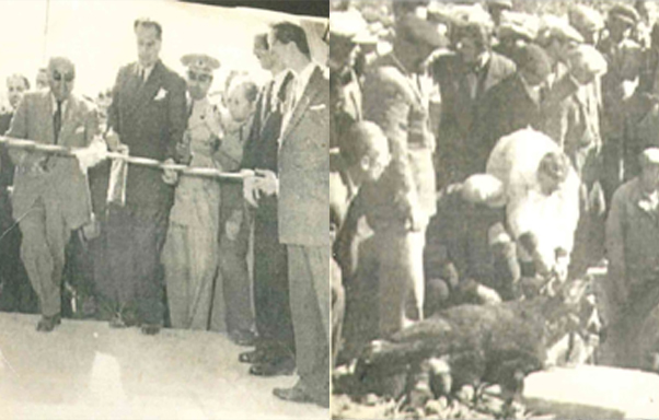 Türkiye'nin Şekerini Üretiyor