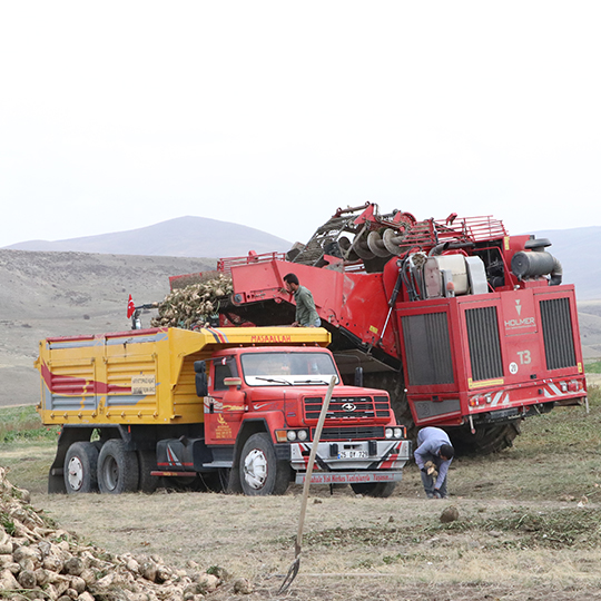 Altınbaşak bölgesi